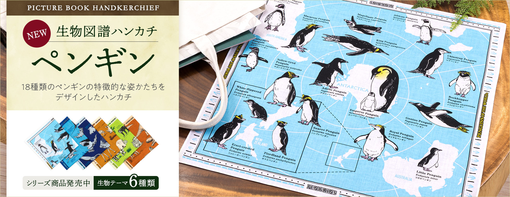 生物図譜ハンカチ ペンギン