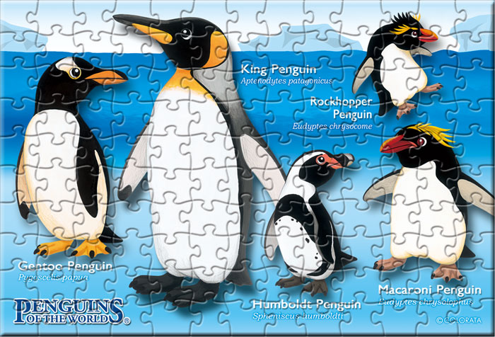 動物 生物 ミュージアム ジグソーパズル ポストカードサイズ 130ピース ペンギン カロラータ オンラインショップ