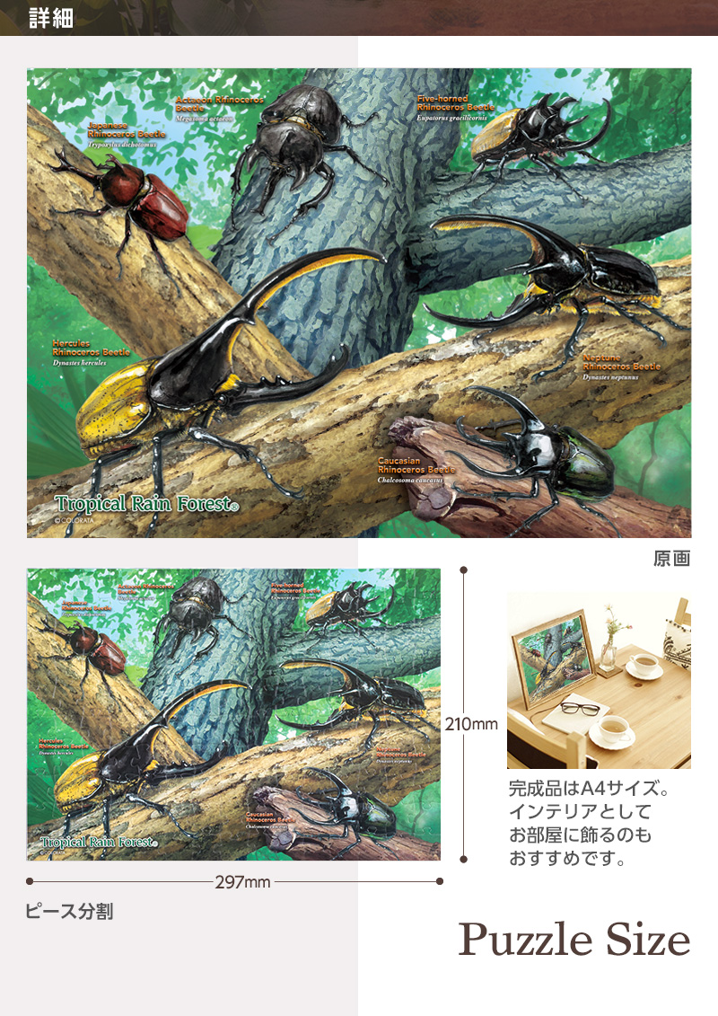 ミュージアムジグソーパズル 世界のカブトムシ│カロラータ オンライン