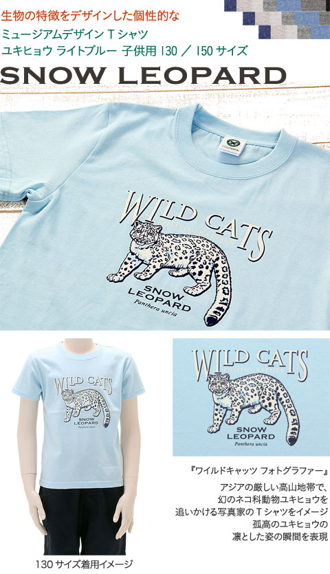 動物 生物 ミュージアムデザイン Tシャツ ユキヒョウ ライトブルー