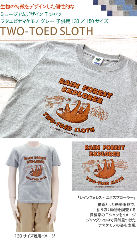 動物 生物 ミュージアムデザイン Tシャツ フタユビナマケモノ