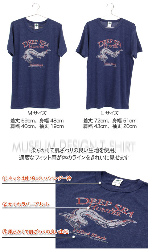 動物 生物 ミュージアムデザイン Tシャツ ラブカ ネイビー M／Lサイズ