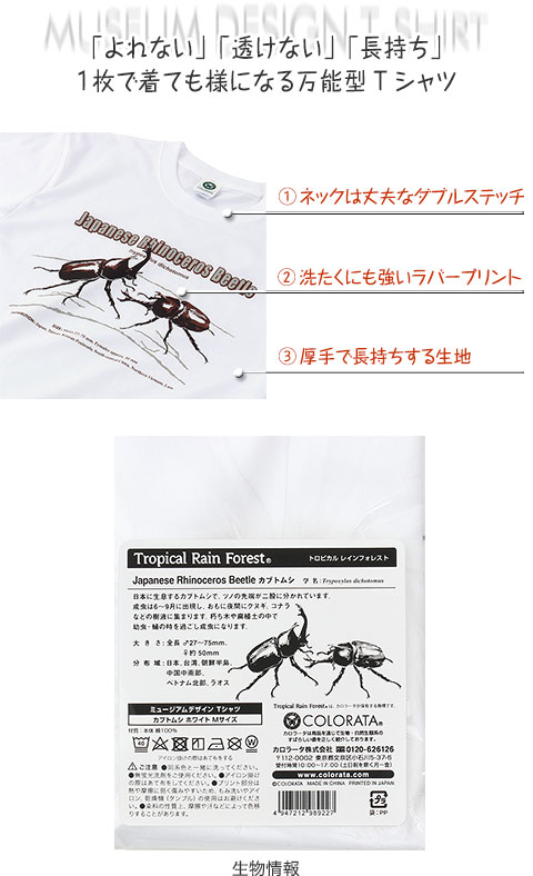 動物 生物 ミュージアムデザイン Tシャツ カブトムシ(日本) ホワイト S