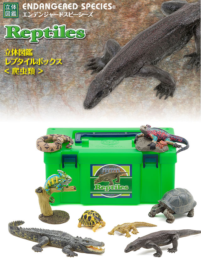 動物 生物 立体図鑑 レプタイルボックス / カロラータ オンラインショップ