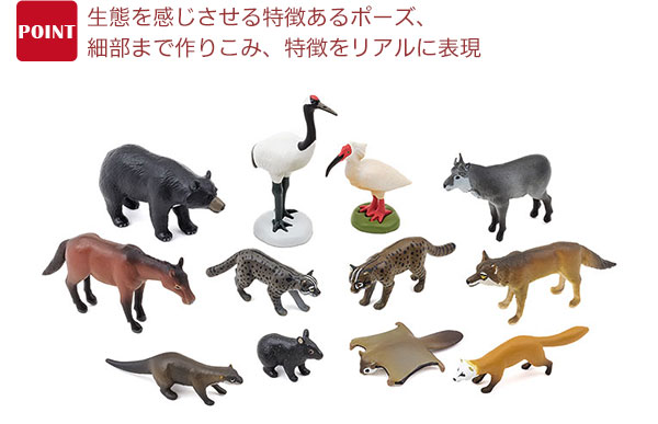 立体図鑑 日本の動物ボックス│動物 カロラータ オンラインショップ