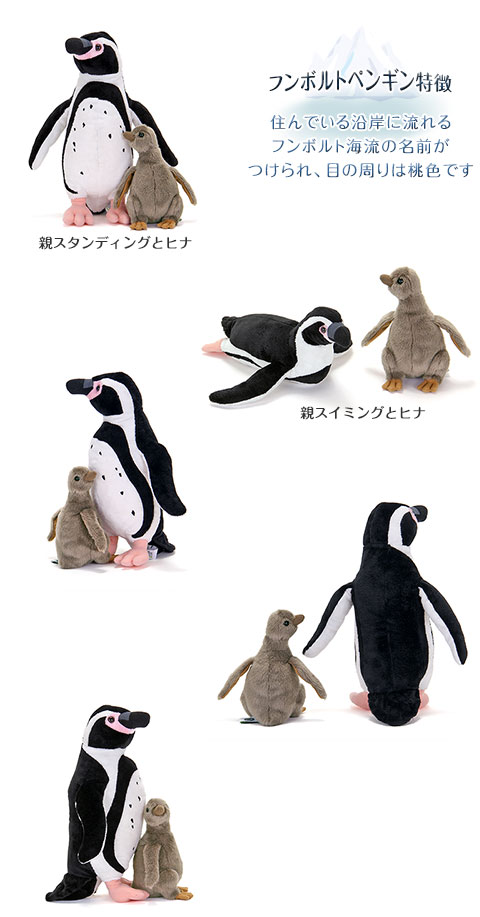 フンボルトペンギン│動物 カロラータ オンラインショップ