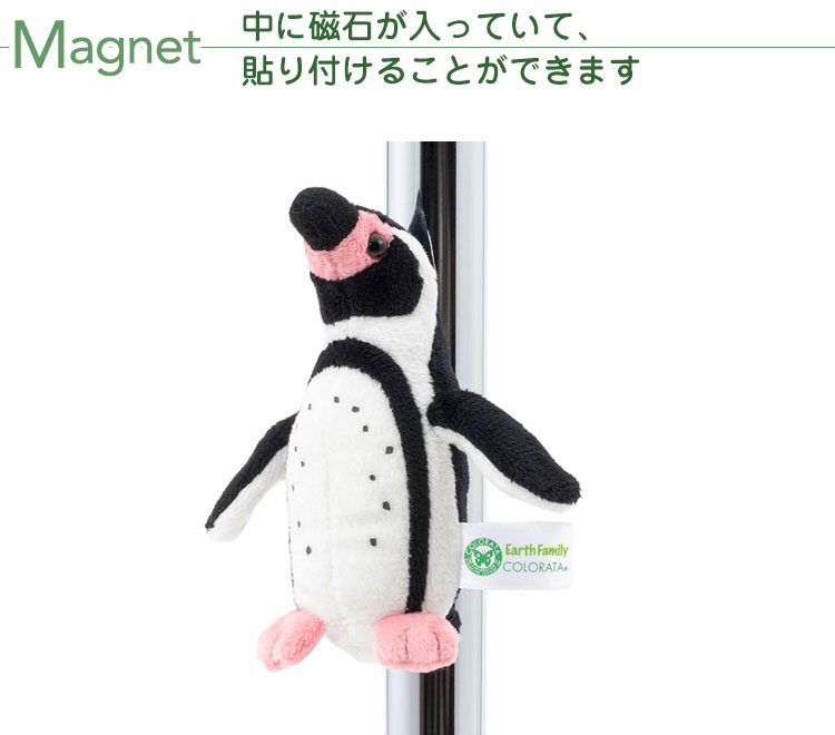 マグネット マスコット フンボルトペンギン│動物 カロラータ