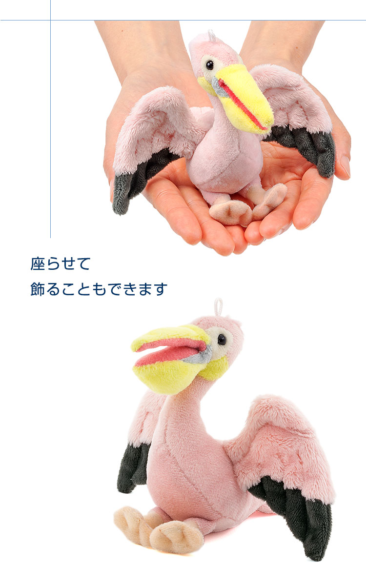 鳥類 マスコット モモイロペリカン│動物 カロラータ オンライン