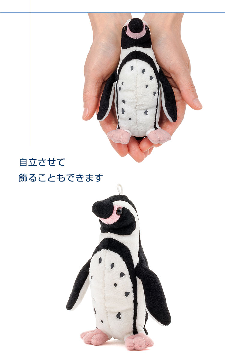 鳥類 マスコット フンボルトペンギン│動物 カロラータ オンライン 