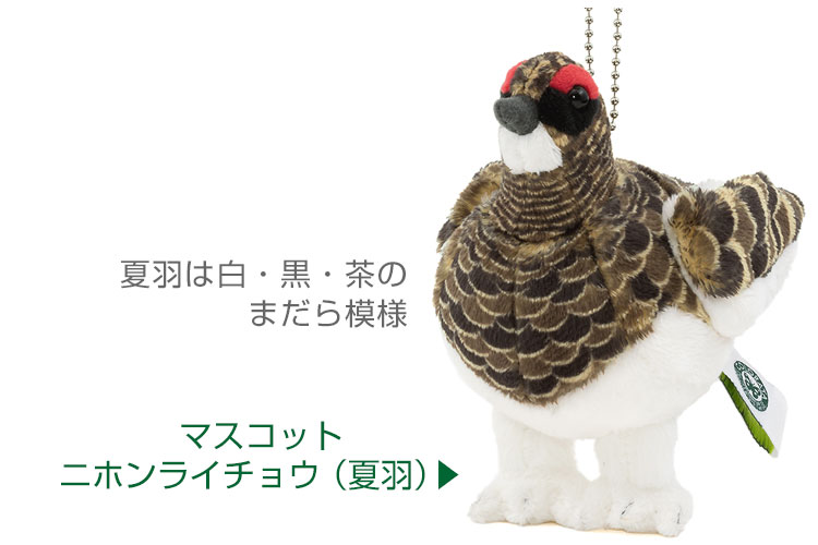 鳥類 マスコット ニホンライチョウ（冬羽）│動物 カロラータ