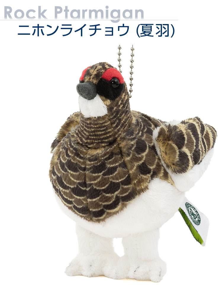 鳥類 マスコット ニホンライチョウ（夏羽）│動物 カロラータ