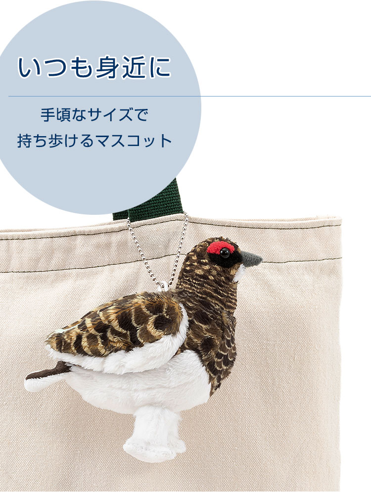 鳥類 マスコット ニホンライチョウ（夏羽）│動物 カロラータ