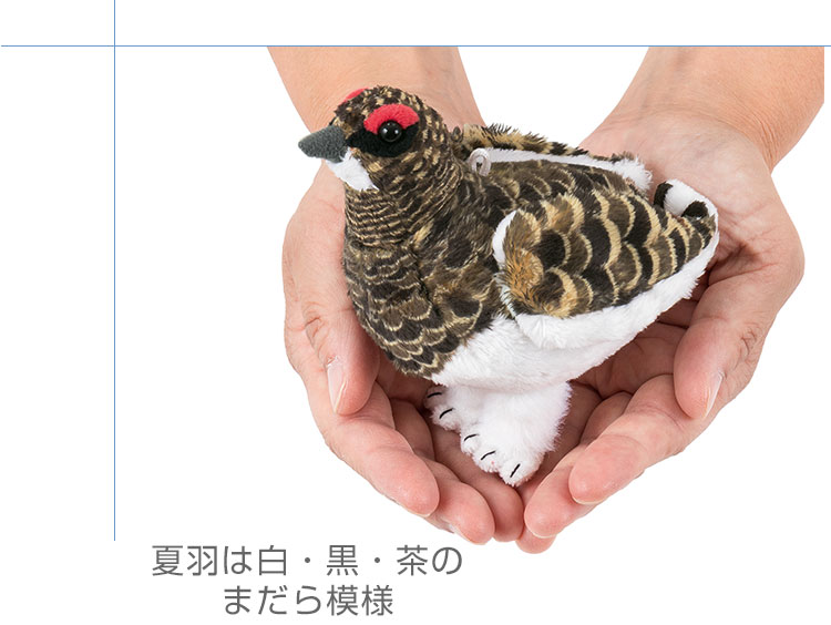 鳥類 マスコット ニホンライチョウ（夏羽）│動物 カロラータ