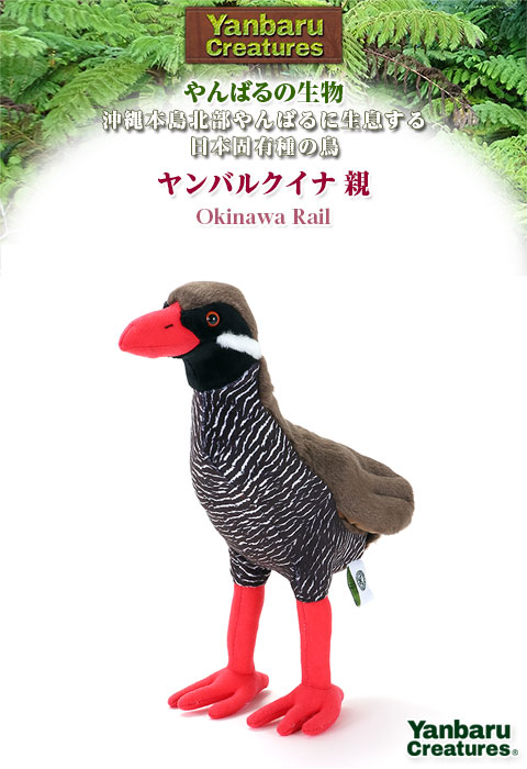 動物 生物 ぬいぐるみ やんばるの生物 ヤンバルクイナ 親 / カロラータ