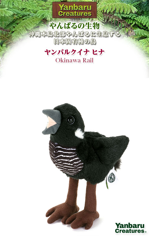 動物 生物 ぬいぐるみ やんばるの生物 ヤンバルクイナ ヒナ