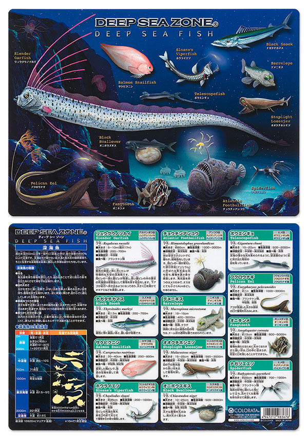 動物 生物 下敷きａ４ アニマルガイドシート 深海魚 カロラータ オンラインショップ